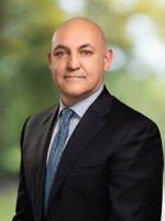 Armando G Villapudua