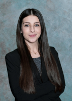 Luks, Santaniello, Petrillo, Cohen & Peterfriend - Law Firm in Miami, FL
