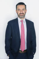 De Hoyos y Avilés - Law Firm in Mexico, DF