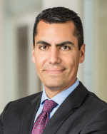 Mauro Lilling Naparty LLP - Law Firm in Woodbury, NY