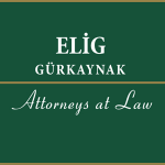 Gönenç Gürkaynak (Istanbul, )