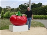 Mr. William Kenneth Crispin (Gainesville, Florida)