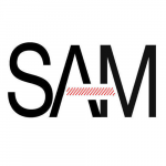 Brandon M Djonlich (Rolling Meadows, Illinois)