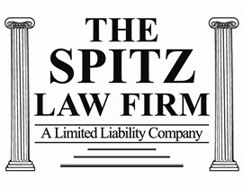 Mr. Brian David Spitz (Beachwood, Ohio)