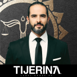 Tijerina Legal Group, PC (McAllen, Texas)